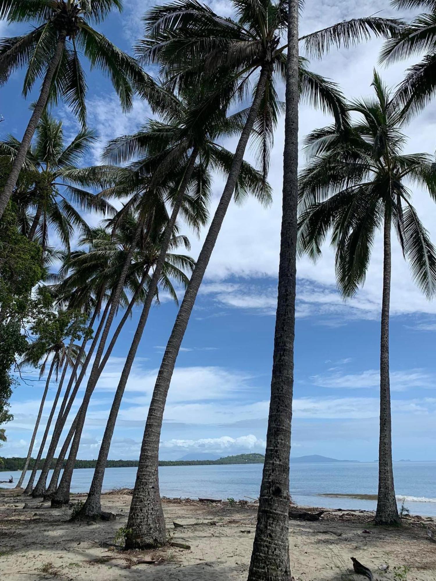 Modern 2 Bedroom Townhouse - Four Mile Beach Escapes Port Douglas Eksteriør bilde